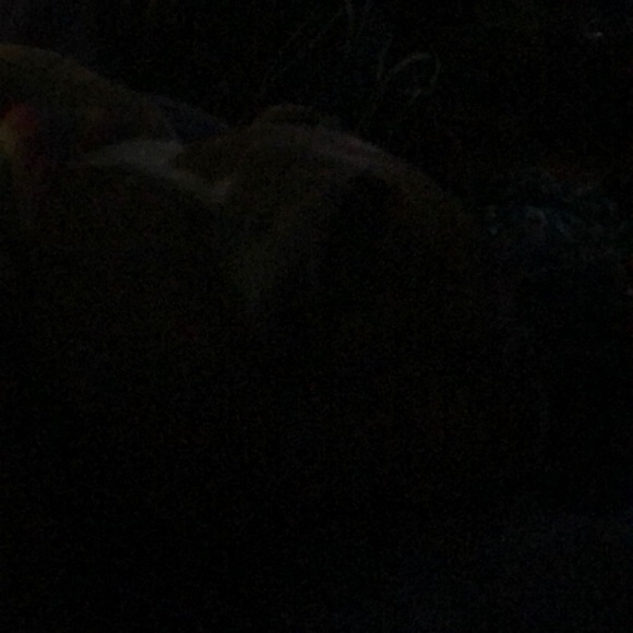 Meet your Posher, Skylar - Picture 1 of 1